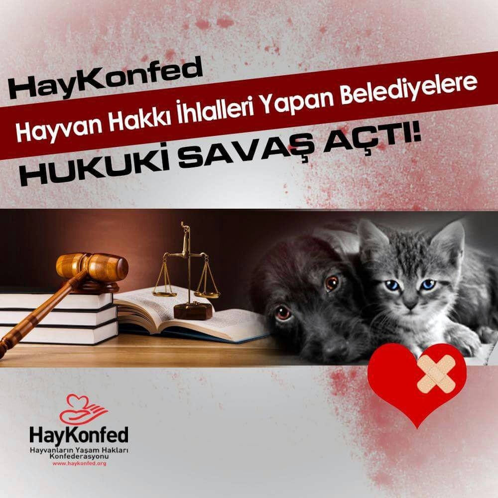 Haykonfed’den Belediyelere Dava Geliyor