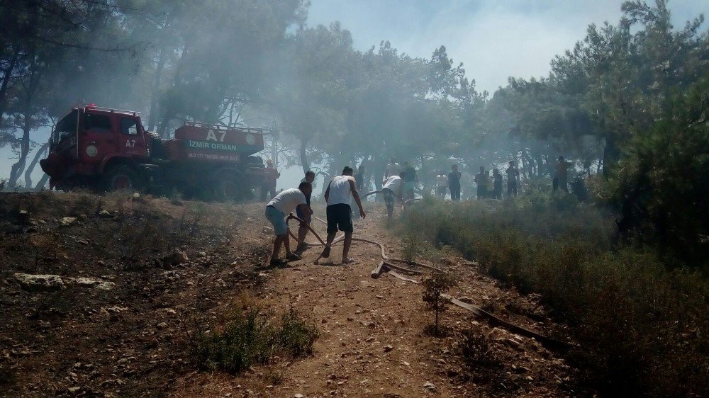 İzmir’de Dört Ayrı Noktada Yangın