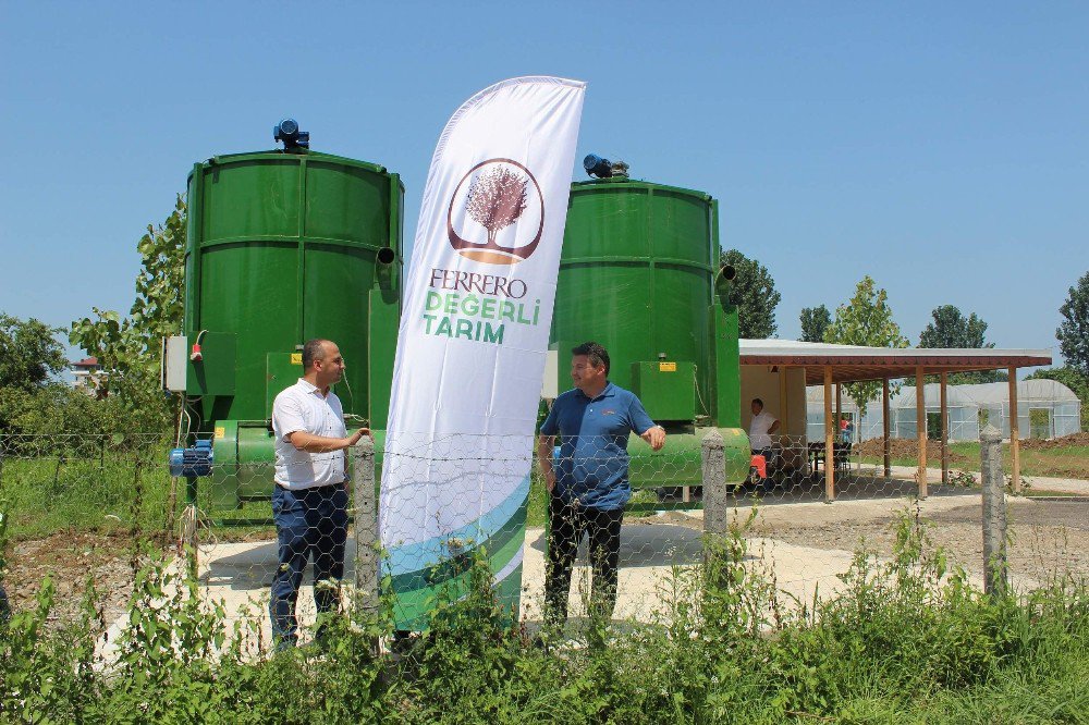 Fındık Hasat Sezonu Öncesi Hazırlıklar Başladı