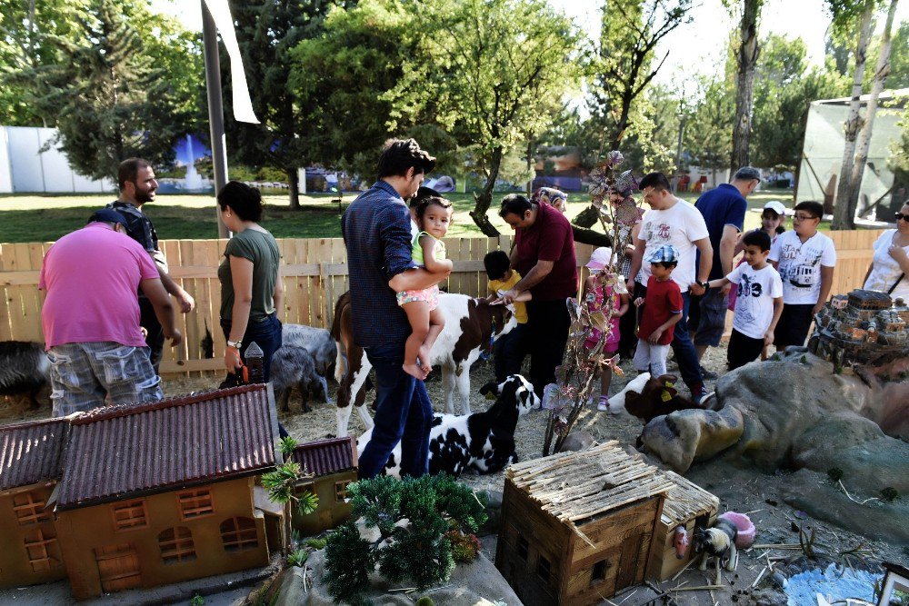 Anfa’nın Anköy’ü Festivalde Büyük İlgi Görüyor