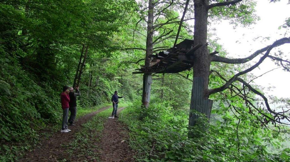 Artvin’de Bal Ormanlarında Bal Hasadı Başladı