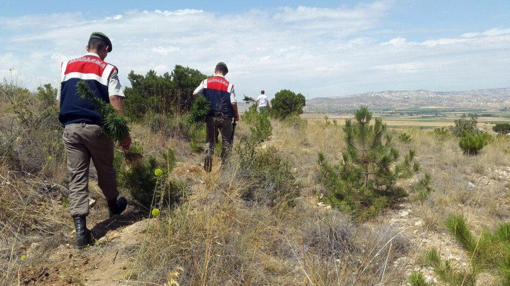 Dron Yardımı Uyuşturucu Operasyonu