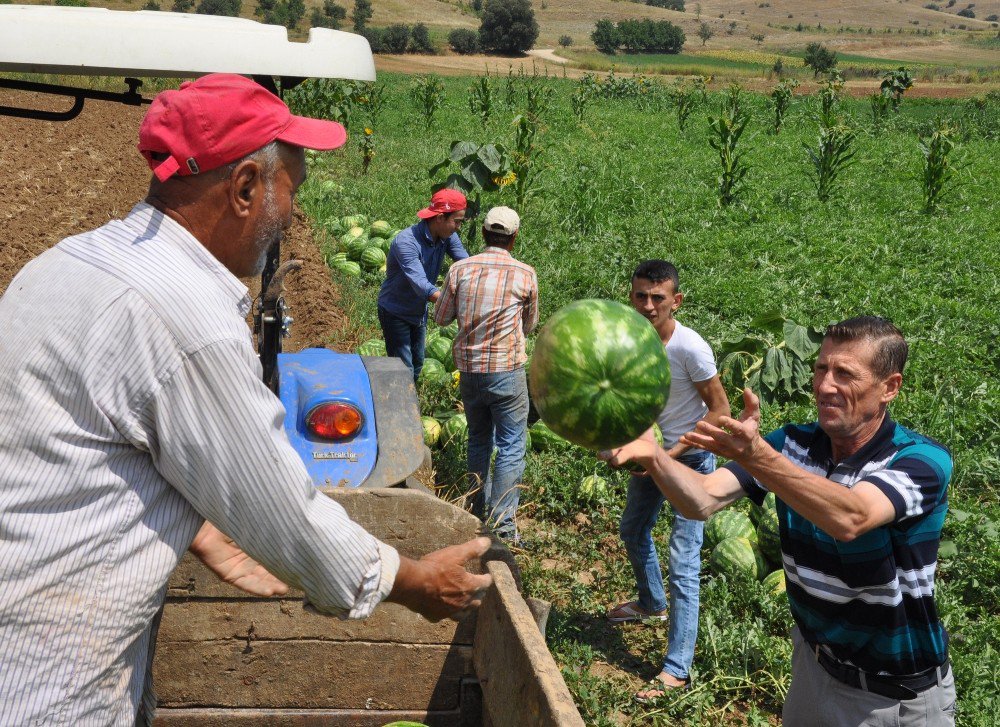 İnegöl Karpuzda İddialı