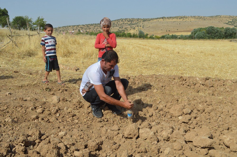 Bu Köyün Toprağı Akrep Kaçırıyor