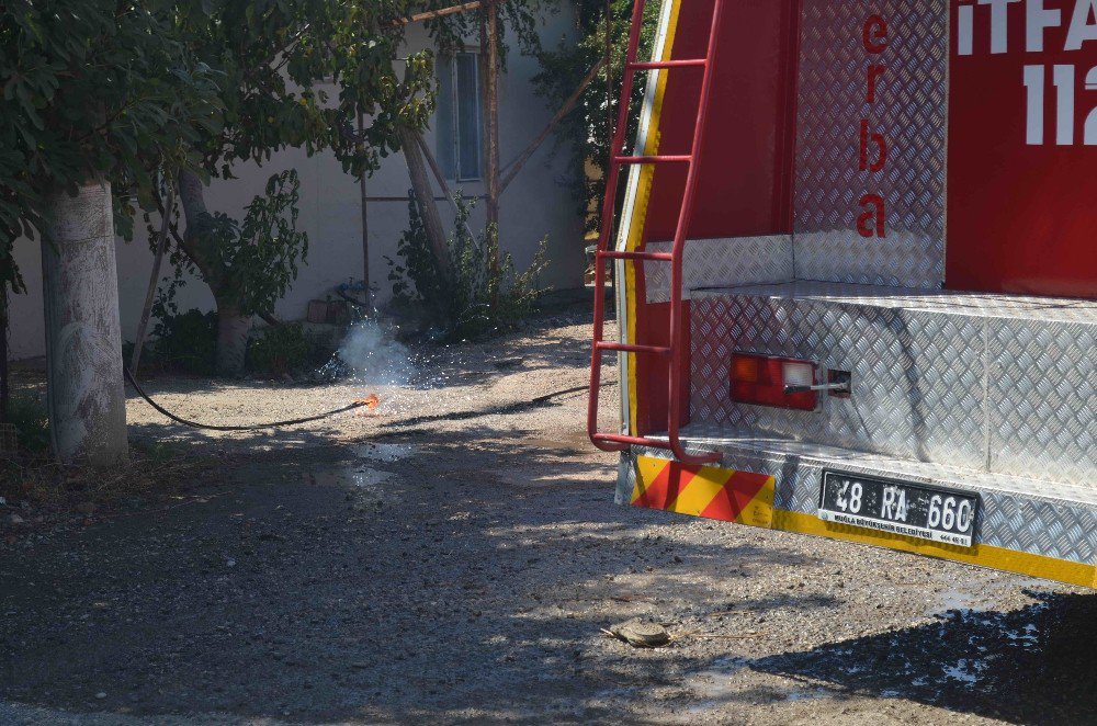 Odunlukta Çıkan Yangın Elektrik Hattını Kopardı