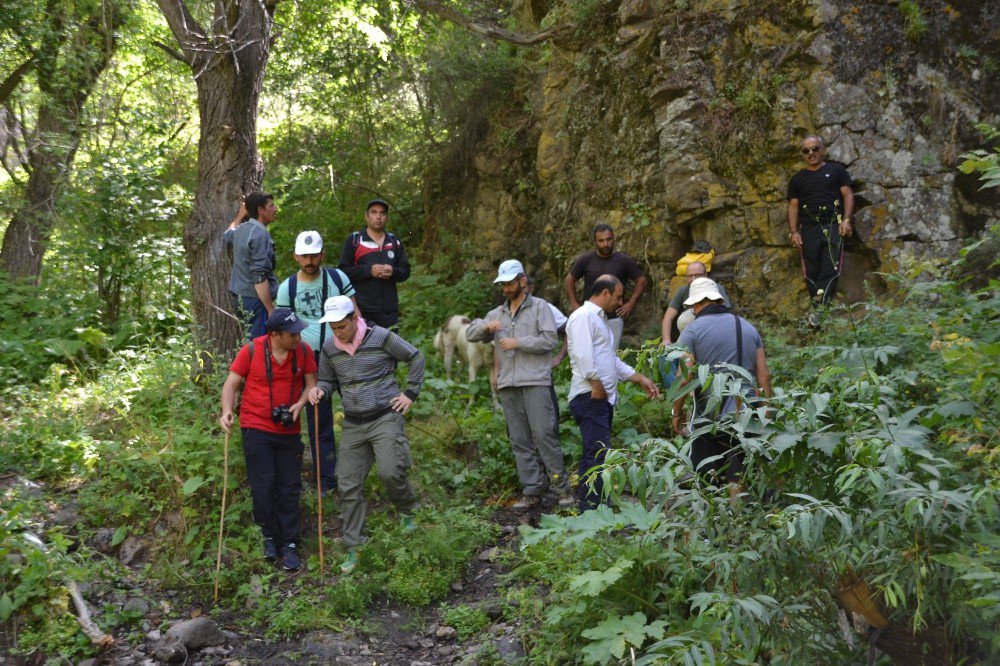 Şenkaya’da Trekking Yapıldı