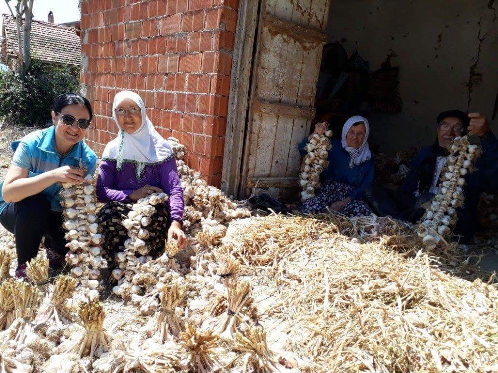 Simav’ın Bin 450 Rakımlı Kestel Köyünde, Yüksek Aromalı Sarımsak Üretiliyor