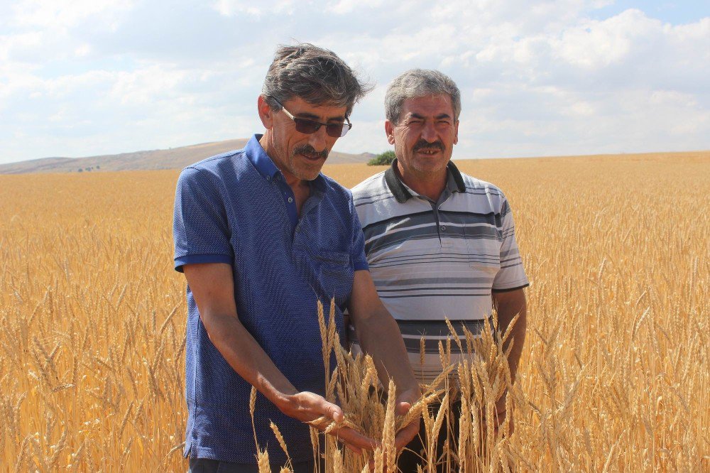 Ziraat Odası Başkanı Çetindağ’dan Biçerdöver Uyarısı