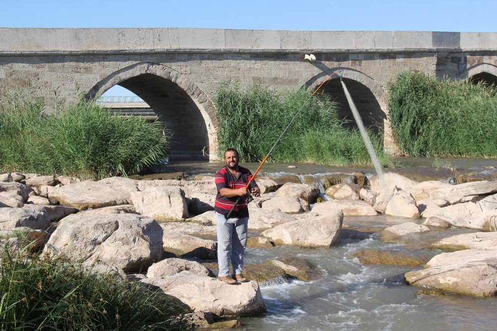 Amatör Balıkçıların Kızılırmak’ta Tehlikeli Balık Avı