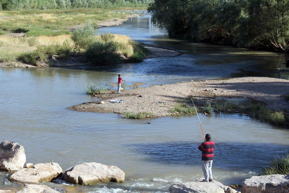 Amatör Balıkçıların Kızılırmak’ta Tehlikeli Balık Avı