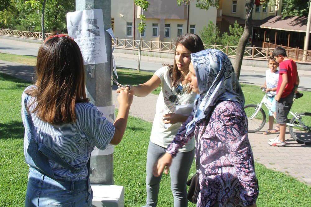 Günlerdir Kaybolun Kedisini Arıyor