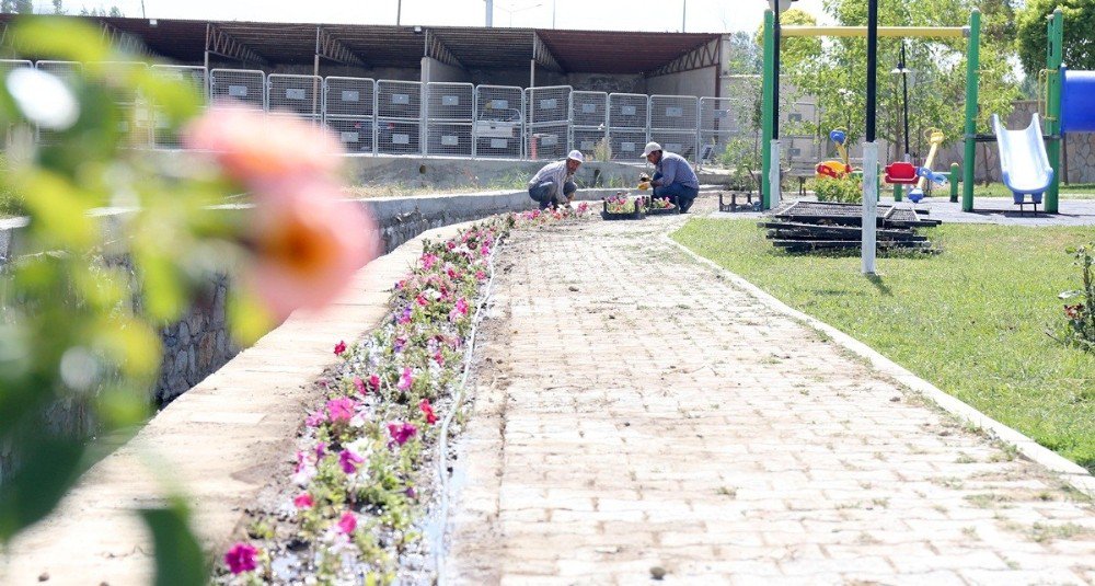 Gürpınar’da Yeşillendirme Çalışması