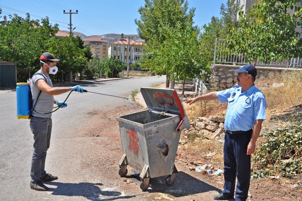 Karasinekle Mücadele Sürüyor