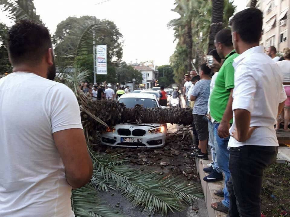 Sosyal Medyadan ’Devrilecek’ Diye Uyardığı Ağaç Aracın Üstüne Düştü