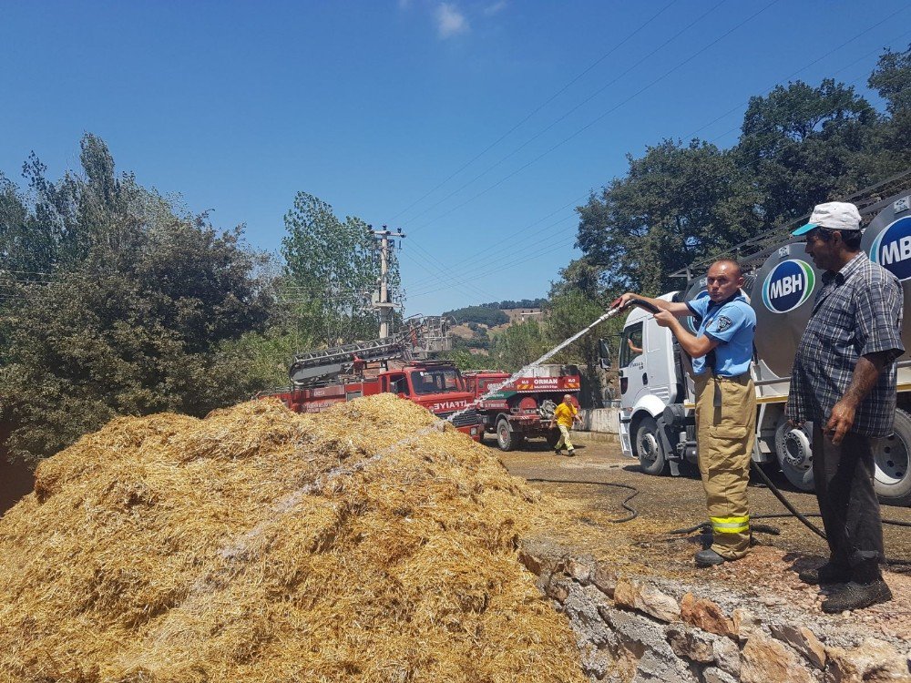 700 Balya Saman Kül Oldu