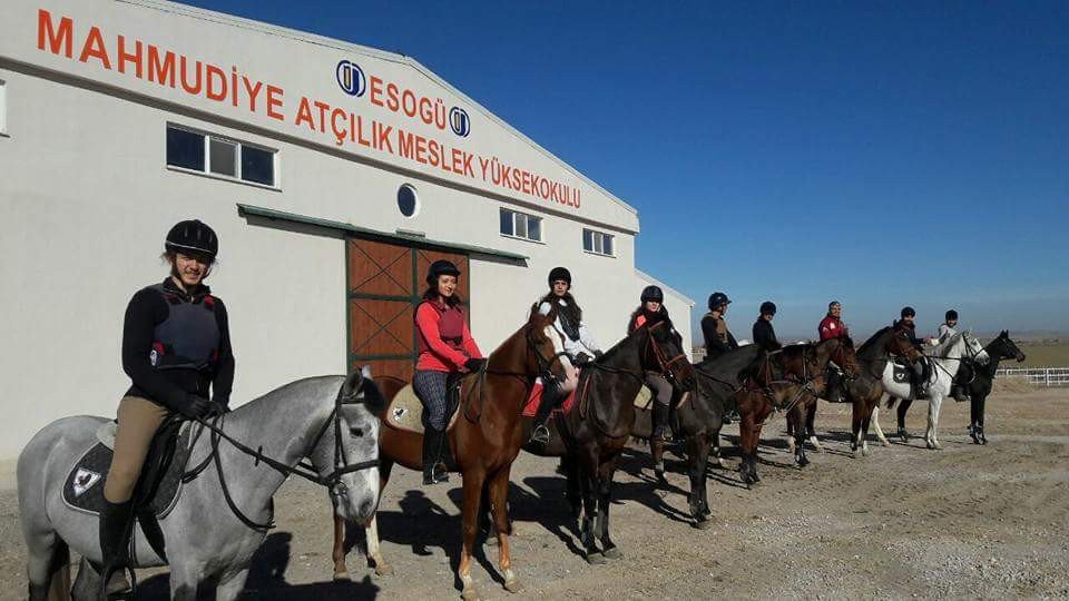 Mahmudiye Atlı Dayanıklılık Yarışmaları’nda Kupalar Sahiplerini Bekliyor