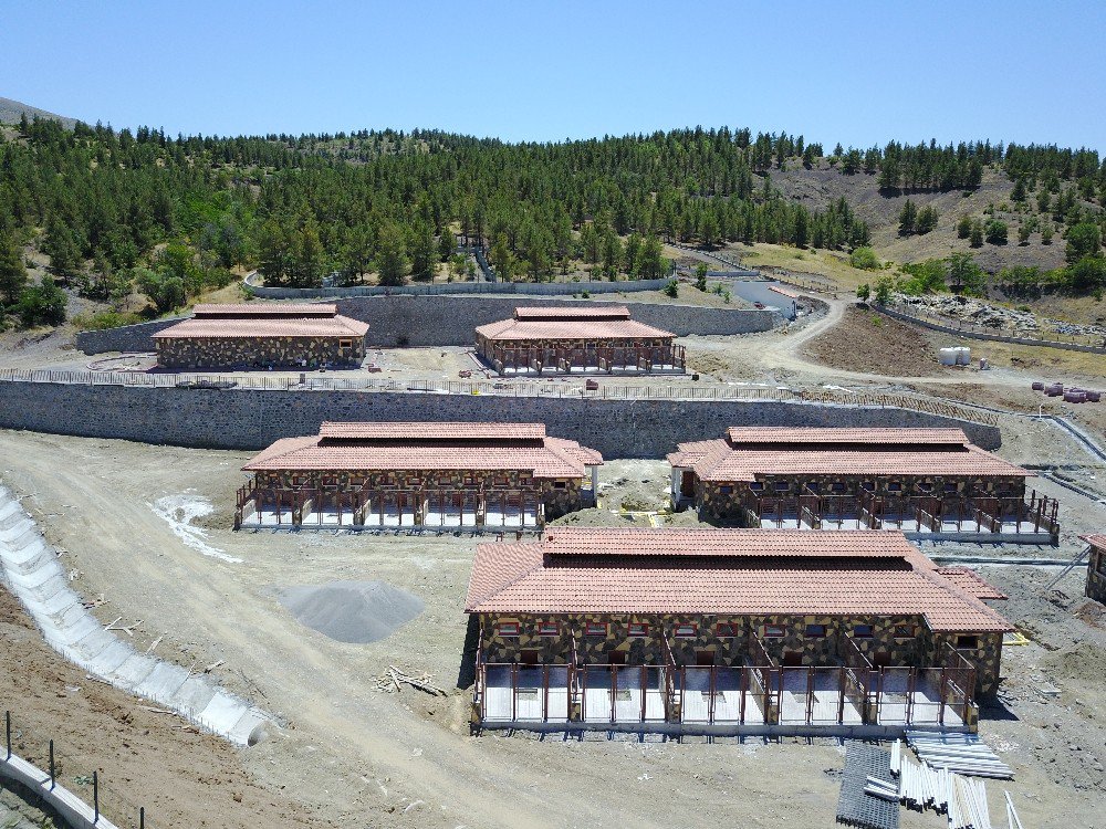 Büyükşehirden Sokak Hayvanları İçin Doğal Yaşam Alanı