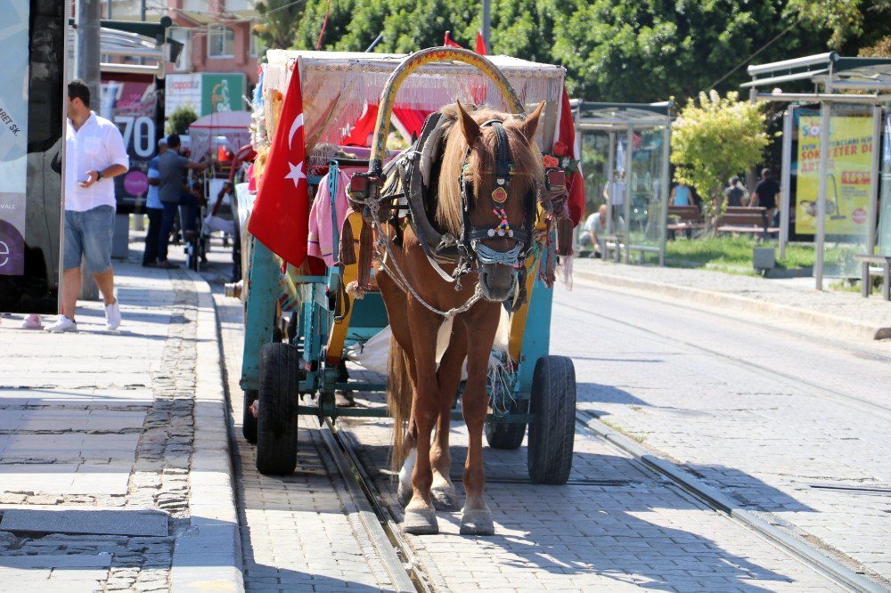 Antalya’da Faytona Koşulan Atın Ölümü