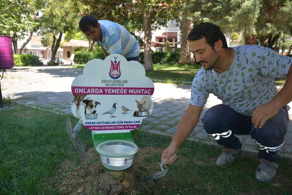 Şehzadeler’den Sokak Hayvanlar İçin Duyarlılık Örneği