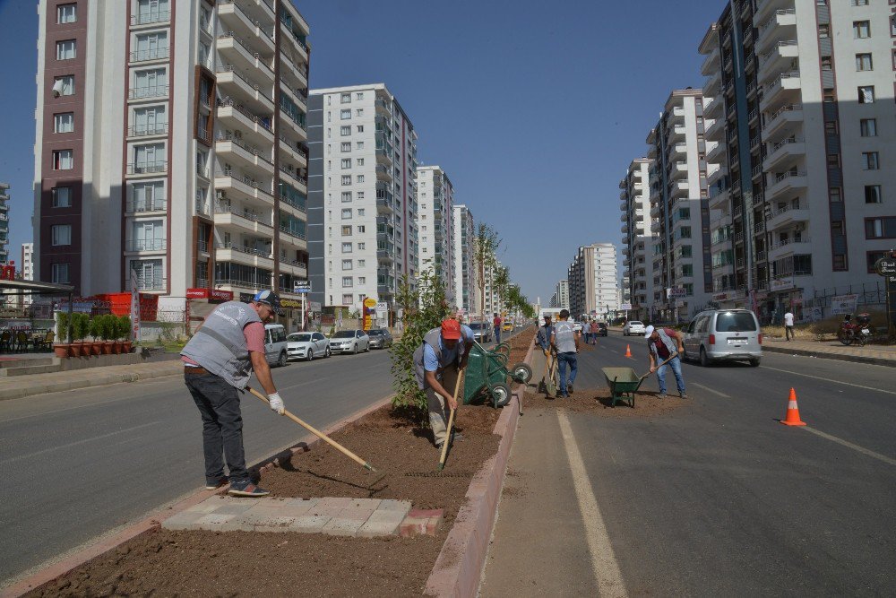 Nazım Hikmet Caddesi Artık Daha Yeşil