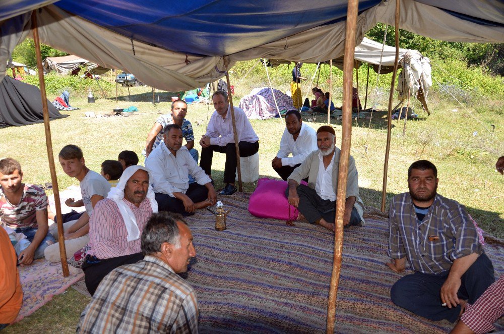 Mevsimlik Tarım İşçileri Fındık Hasadını Bekliyor