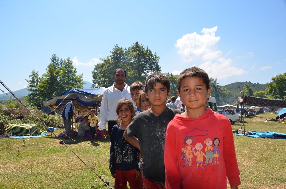 Mevsimlik Tarım İşçileri Fındık Hasadını Bekliyor