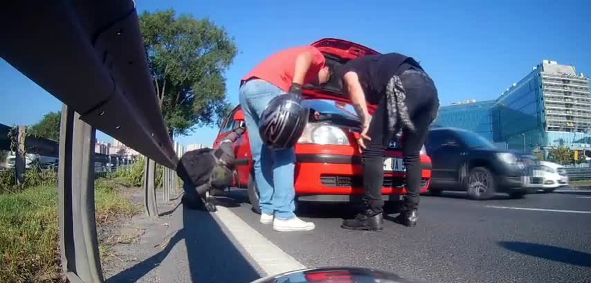 Otomobilin Motoruna Sıkışan Kedi E-5’i Birbirine Kattı