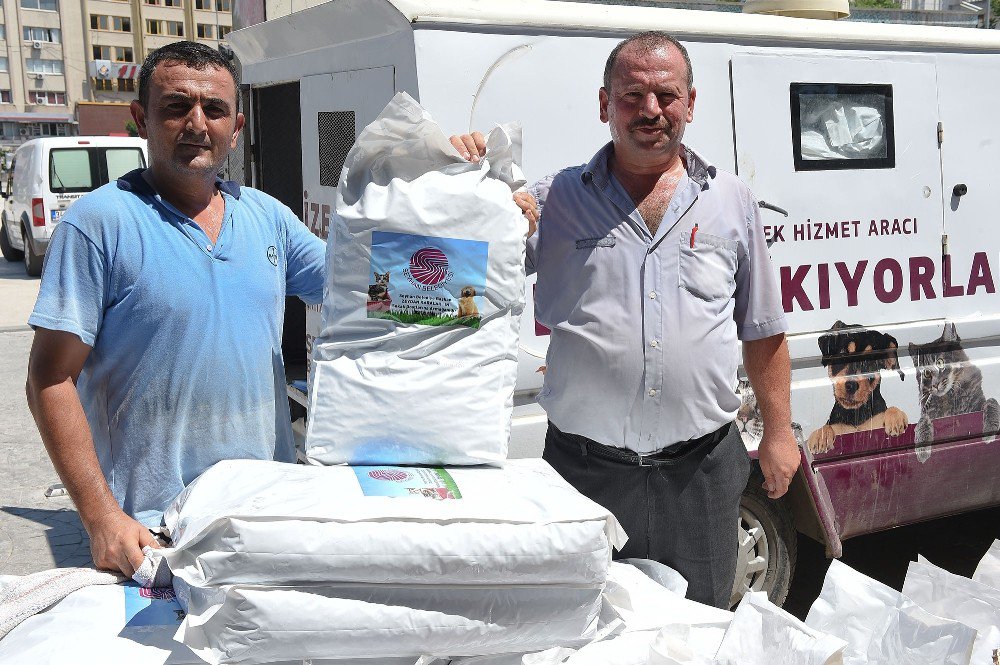 Seyhan’da Sokak Hayvanlarına Mama Desteği