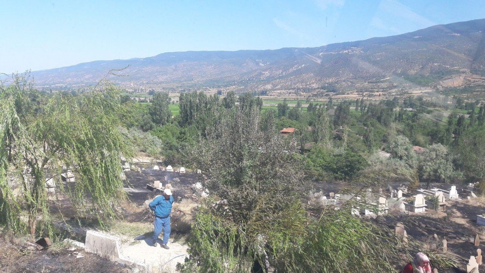 Tosya’da Çıkan Yangın Mezarlara Zarar Verdi