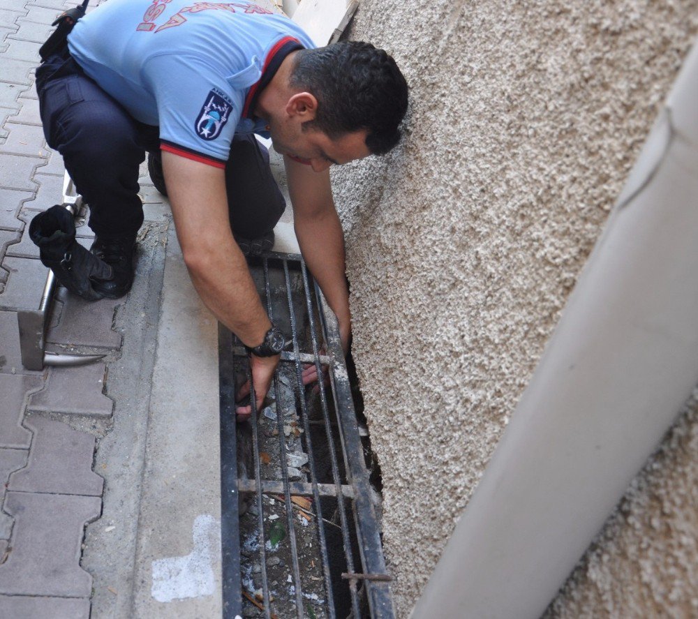 Apartmanın Gider Mazgallarında Mahsur Kalan Kediyi İtfaiye Kurtardı