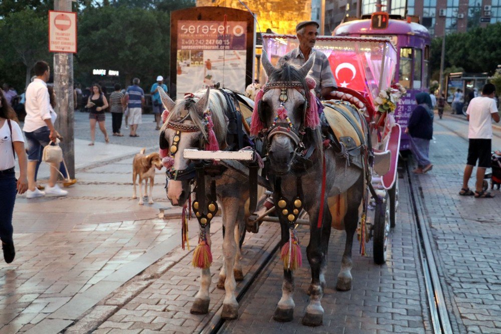 Antalya’da Faytonculara Sıkı Denetim