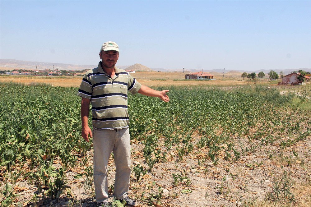 Çiftçileri Sokağa Çağıran Tzob Başkanı’na Çiftçilerden Tokat Gibi Cevap Geldi