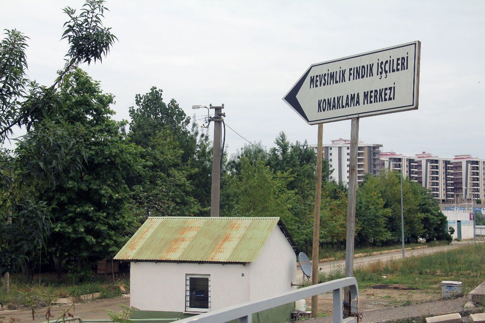 Giresun’da Mevsimlik Fındık İşçilerine Modern Konaklama Merkezi