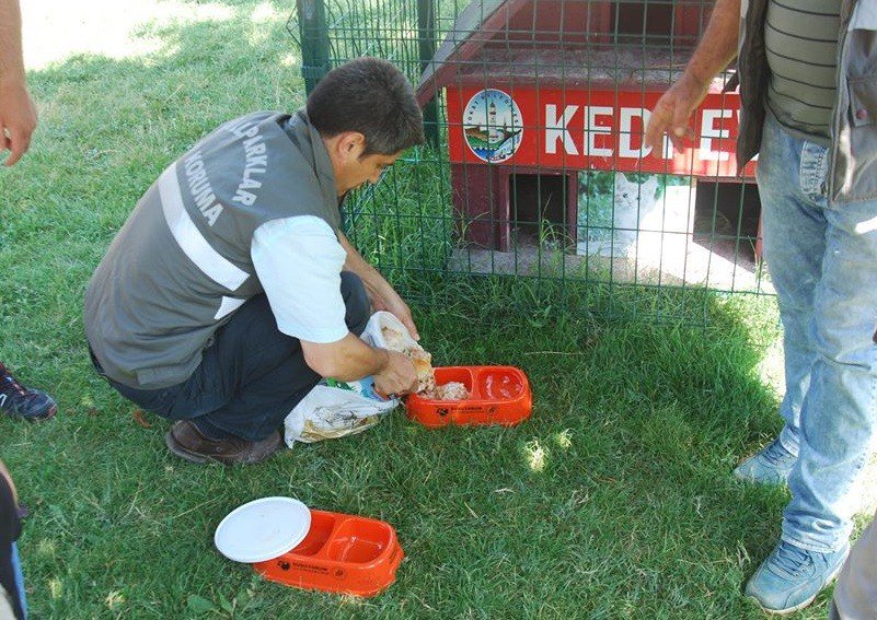 Sokak Hayvanları İçin Parklara Su Ve Yem Kabı Bırakıldı