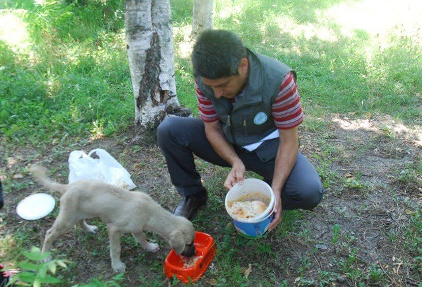 Sokak Hayvanları İçin Parklara Su Ve Yem Kabı Bırakıldı