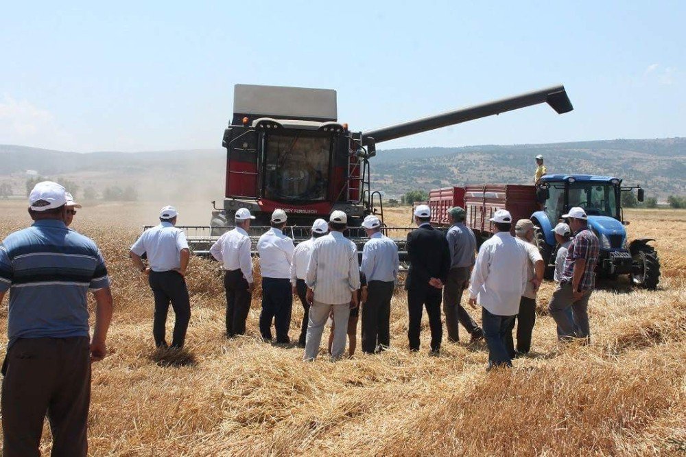 Vali Yardımcısı İnönü’de Hasat Bölgelerini Gezdi