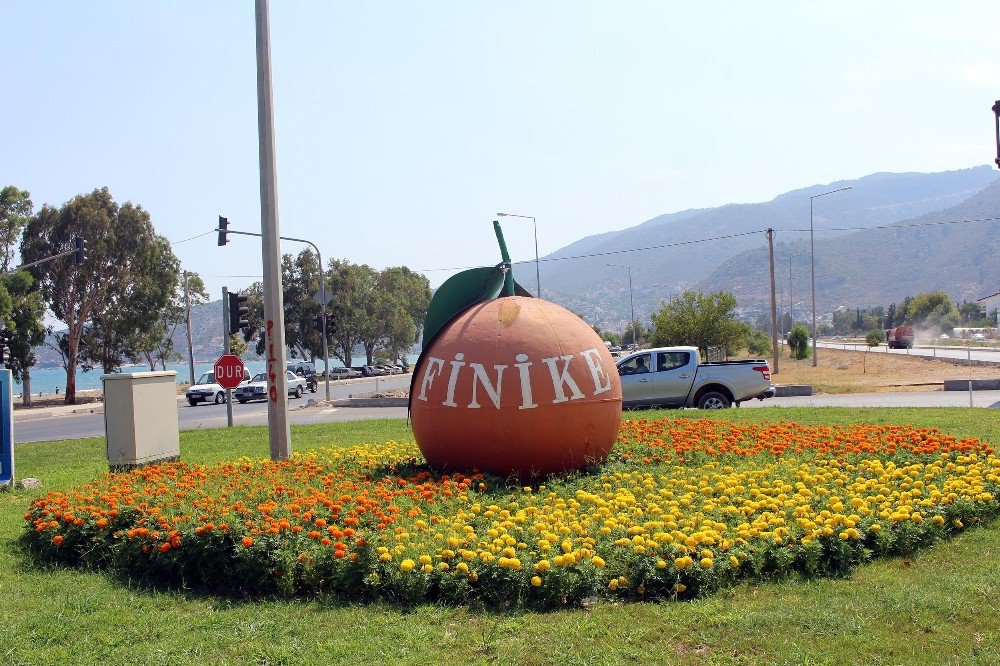 Finike Çiçek Açtı