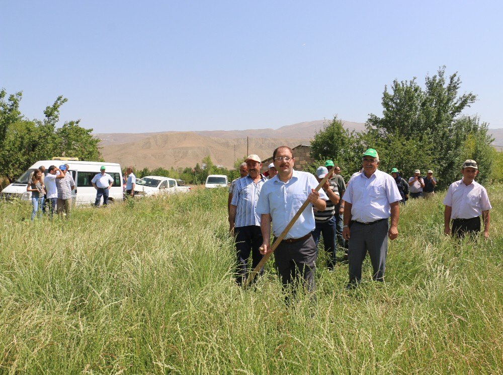 Erzincan’da İlk Kez İtalyan Çimi Alternatif Yem Bitkisi Tarla Günü Düzenlendi