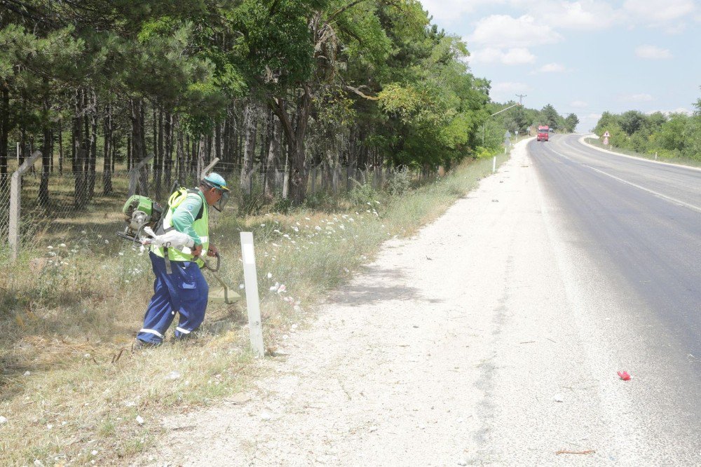 Odunpazarı’nda Yol Kenarları Ve Mesire Alanları Temizleniyor