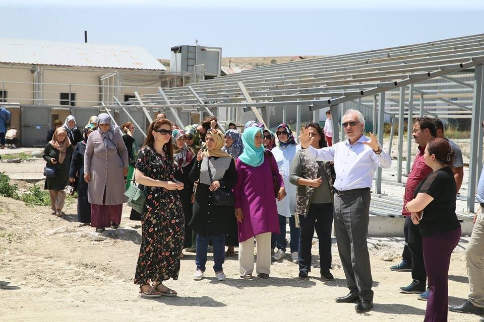 Bölgenin En Büyük Sokak Hayvanları Bakımevi Ve Rehabilitasyon Merkezi Kütahya’da