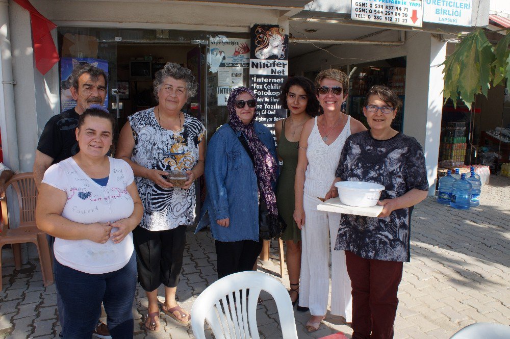 Sokak Hayvanları İçin Su Ve Mama Kabı Dağıttılar