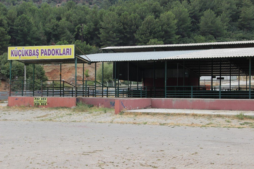 Manisa’da Kurban Pazarı 10 Gün Sonra Açılacak