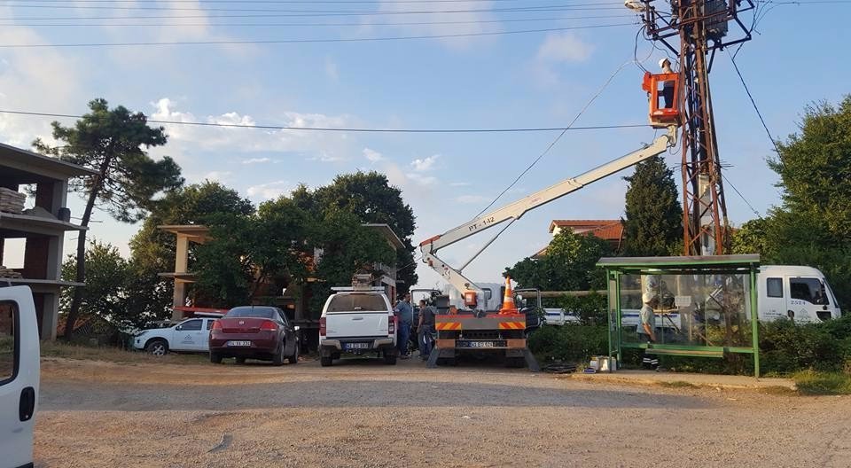 Kaynarca’da Elektrik Arızalarından Bunalan Tavuk Çiftliği Üreticileri Rahat Bir Nefes Aldı