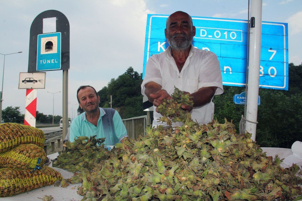 Fındık Yola İndi