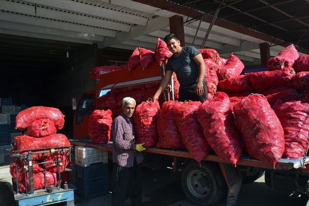 Adana’da sezonun ilk salçalık biber satışlarına başlandı