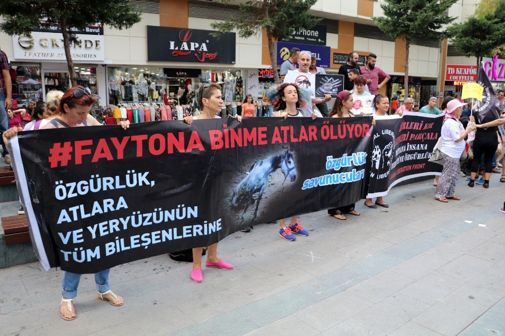 Antalya’da faytona koşulan atın ölümüne tepki eylemi