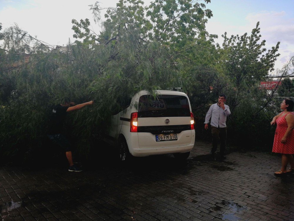 Yağmur ve fırtına sonrası Aydın manzaraları