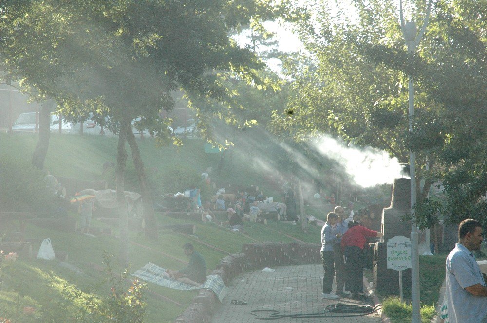 Yangın değil piknik ateşi