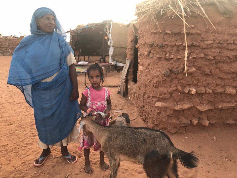 İhlas Vakfından Sudan’da yetimlere keçiler ile süt desteği