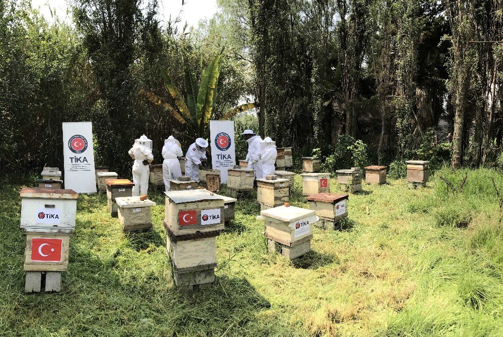 TİKA’dan Meksikalı bal üreticilerine koruyucu ekipman desteği